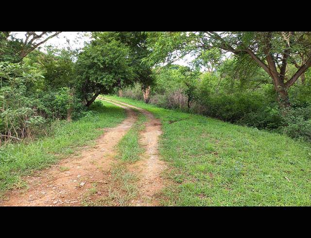 72HA FARM FOR SALE IN NELSPRUIT RURAL